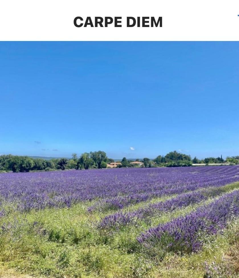 « carpe Diem » Couette-café *